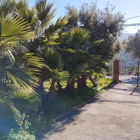 Casa Delle Palme